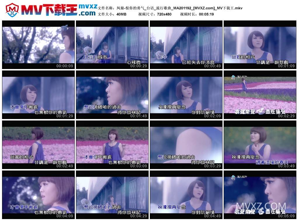 凤娘-恨你的勇气_台语_流行歌曲_MA201192